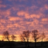 kirk-sunset-1