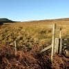 path-to-beacon-1