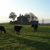 dukesfield