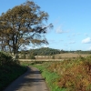 lane-to-plantation-farm-5