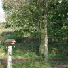 community-woodland-1