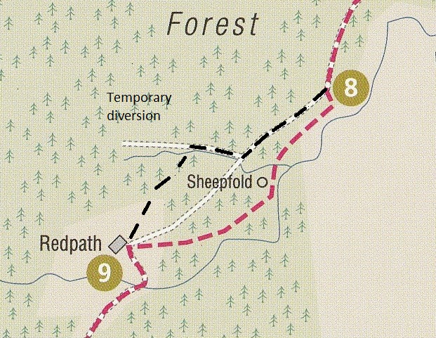 Temporary route change to Harwood Forest